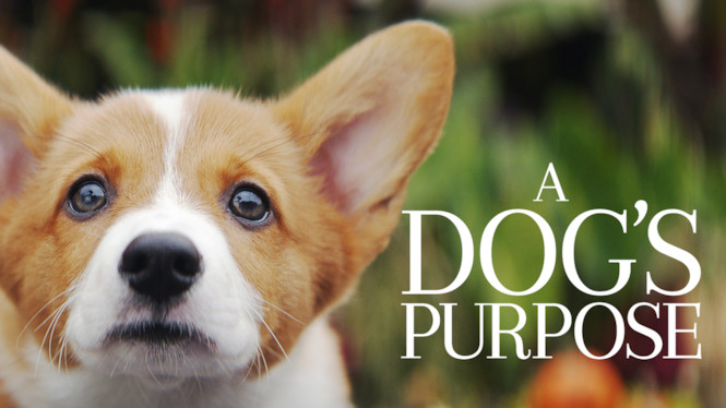 A Dog's Purpose