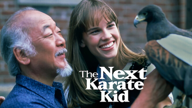 karate kid show netflix