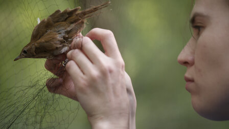 Watch Surveillance. Episode 1 of Season 1.