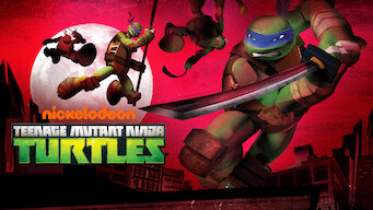 Teenage Mutant Ninja Turtles (2013)