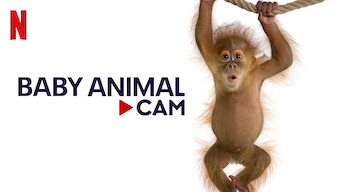 Baby Animal Cam (2023)