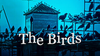 The Birds (1963)