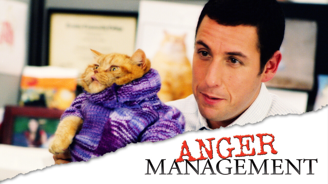 is-anger-management-on-netflix-in-canada-where-to-watch-the-movie